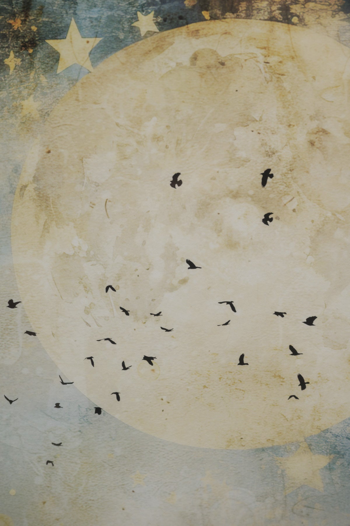 #0737 art print