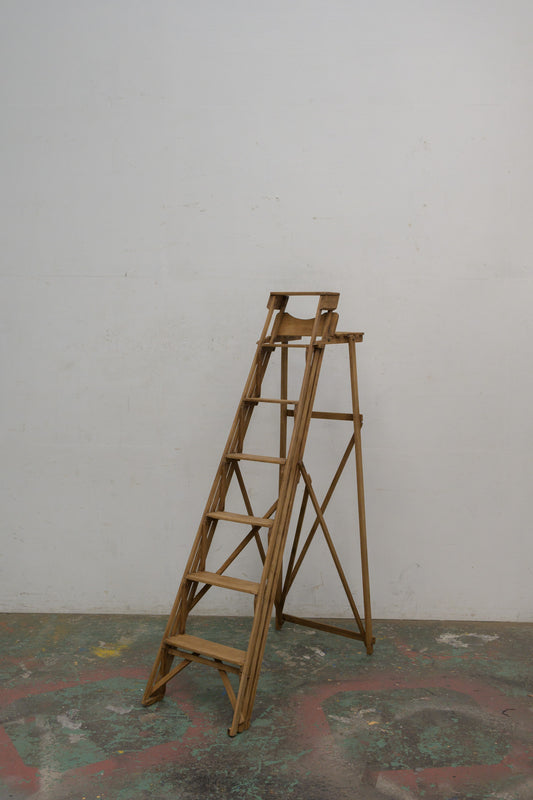 #0295 step ladder