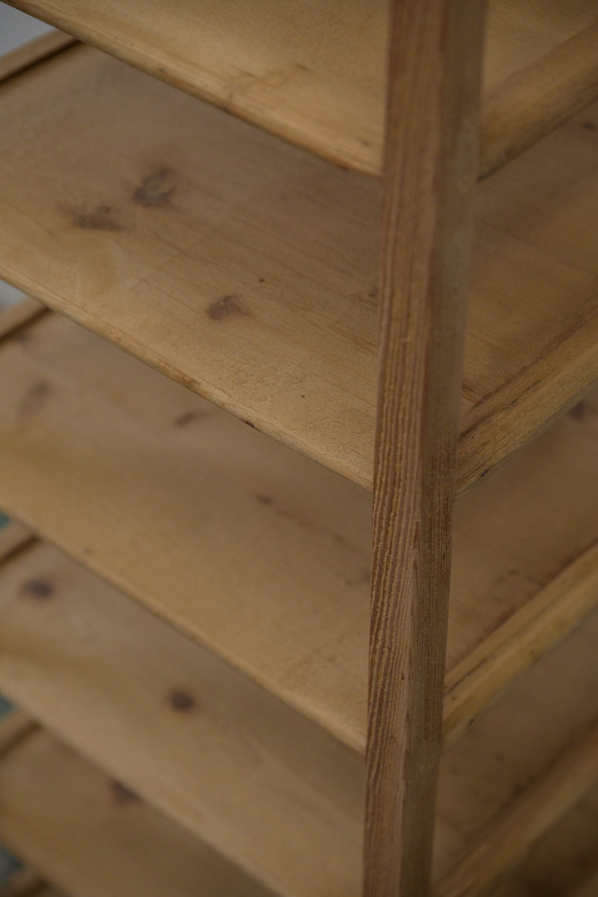 #0365 shelf