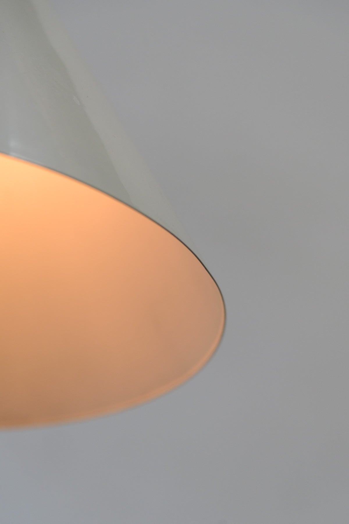 #9879 pendant lamp