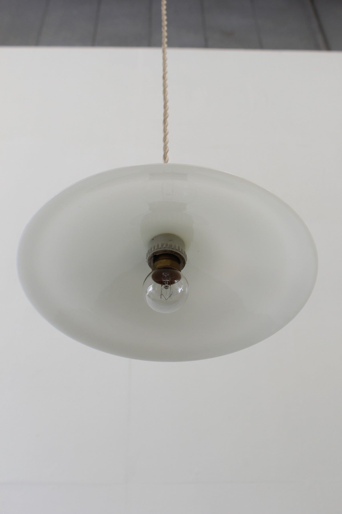 #0856 pendant lamp