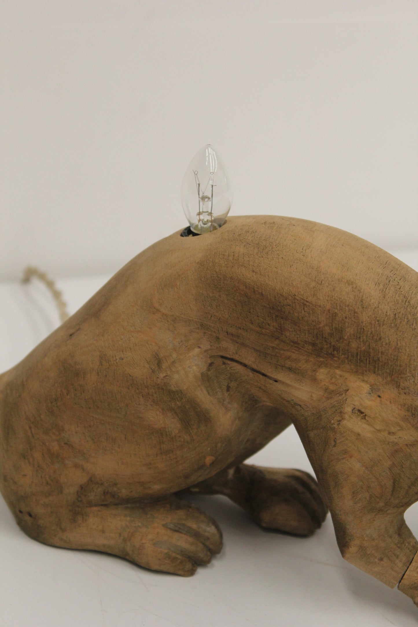 #1541 animal lamp