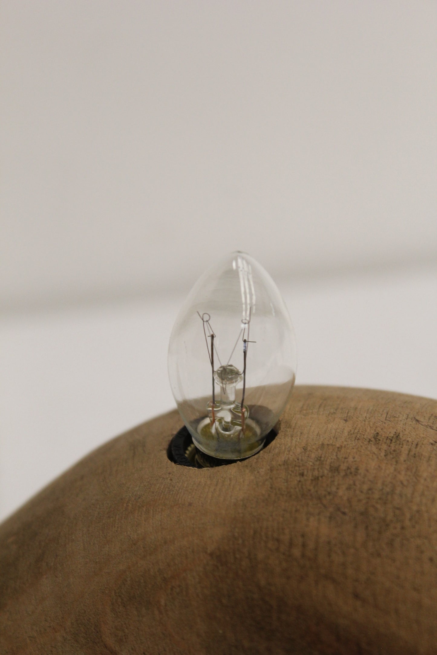 #1541 animal lamp