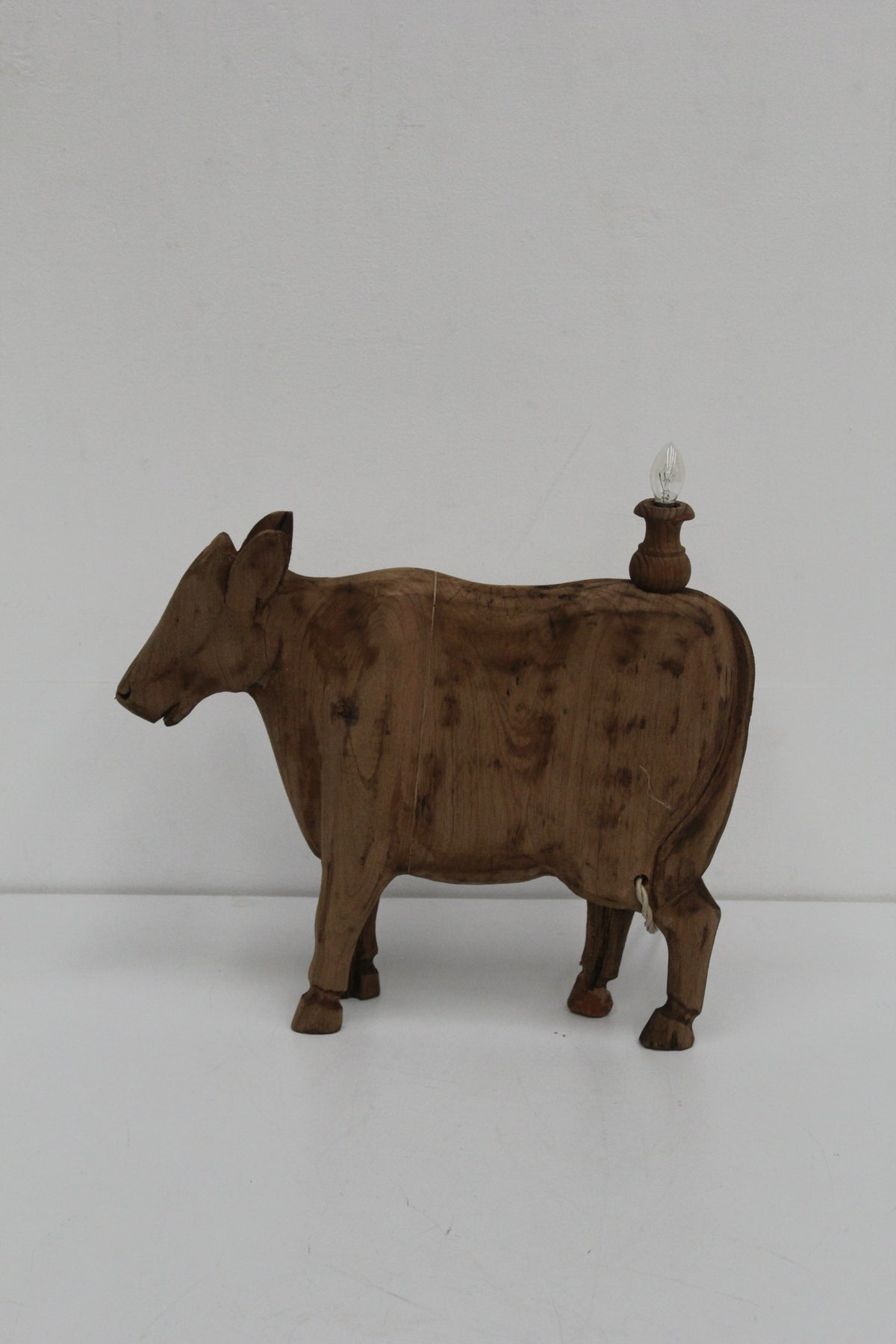 #1570 animal lamp