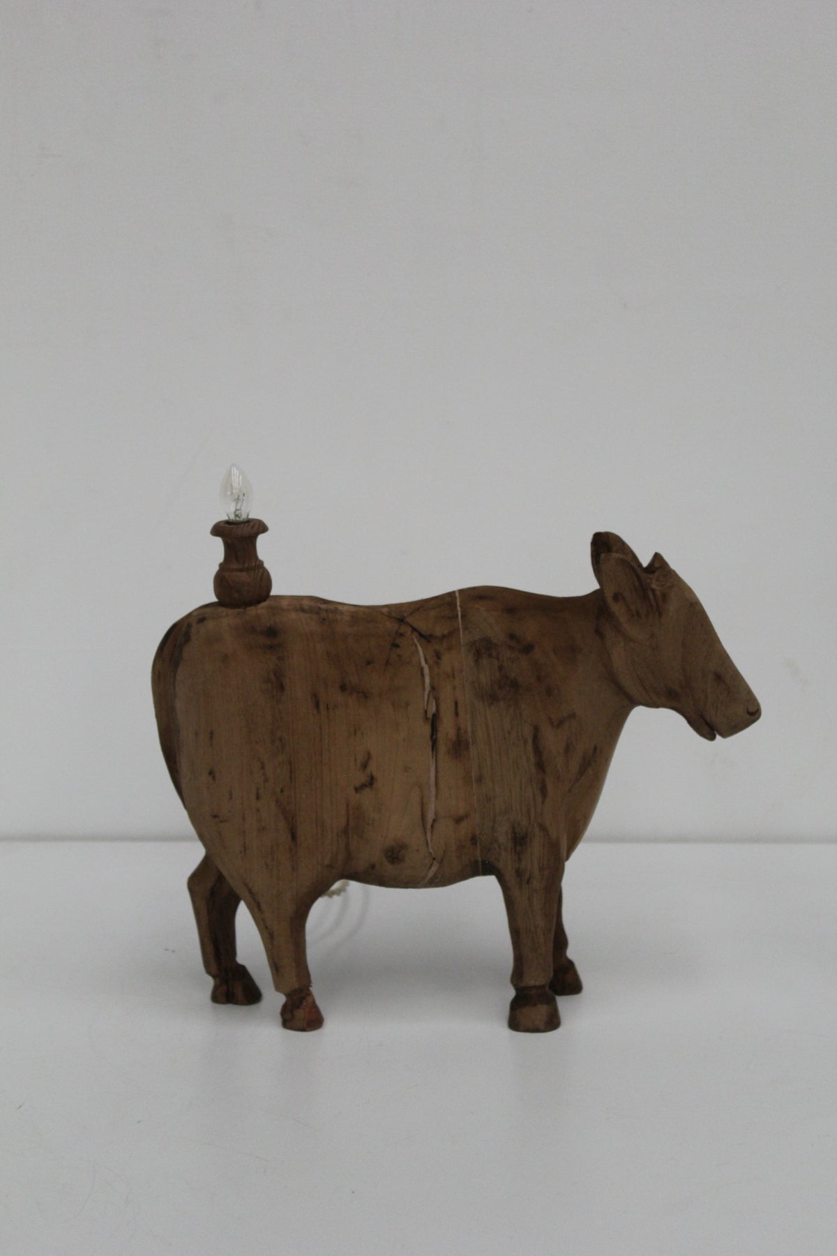 #1570 animal lamp