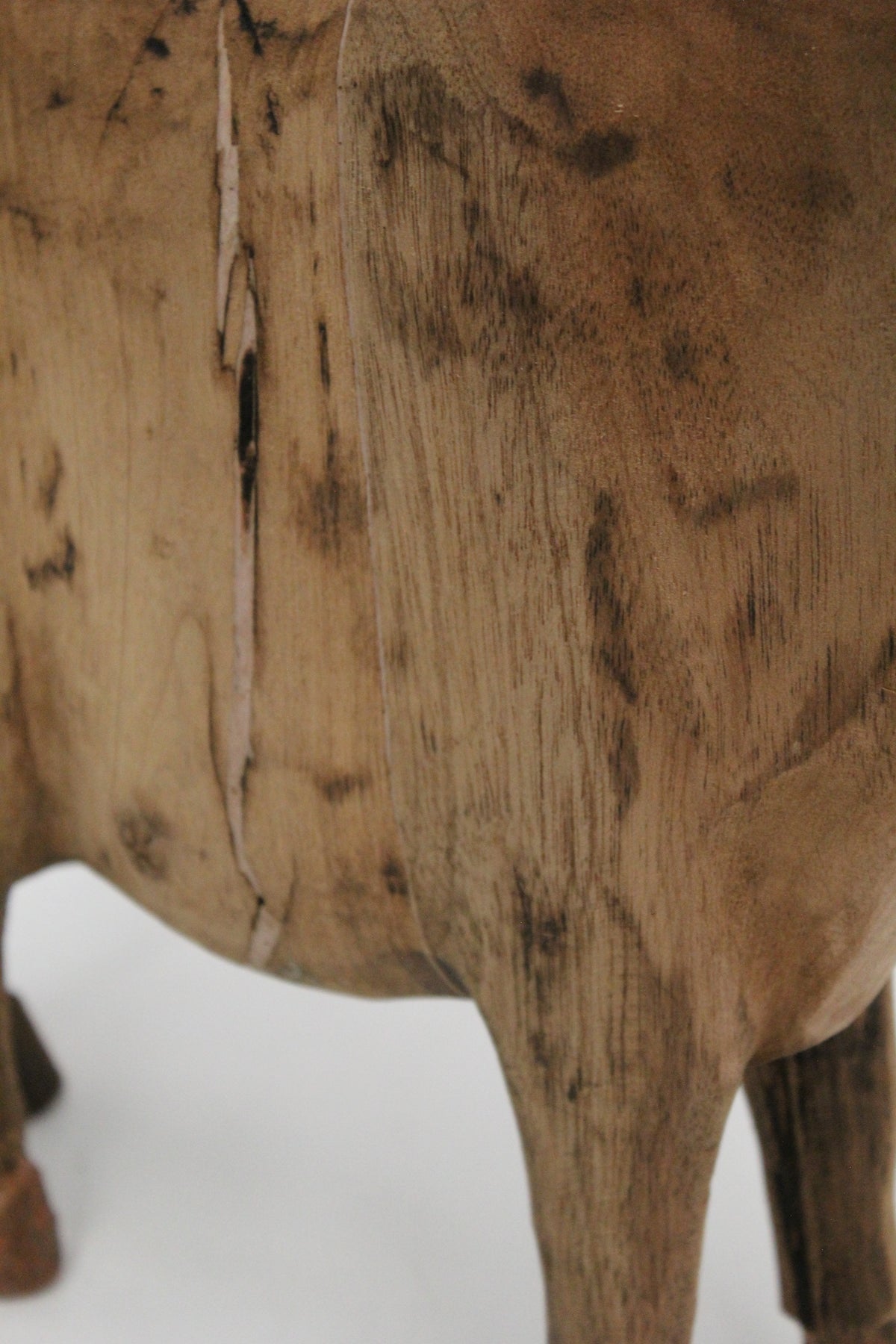 #1570 animal lamp