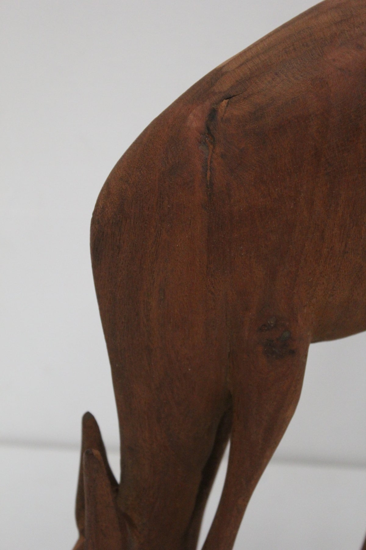 #1592 animal lamp