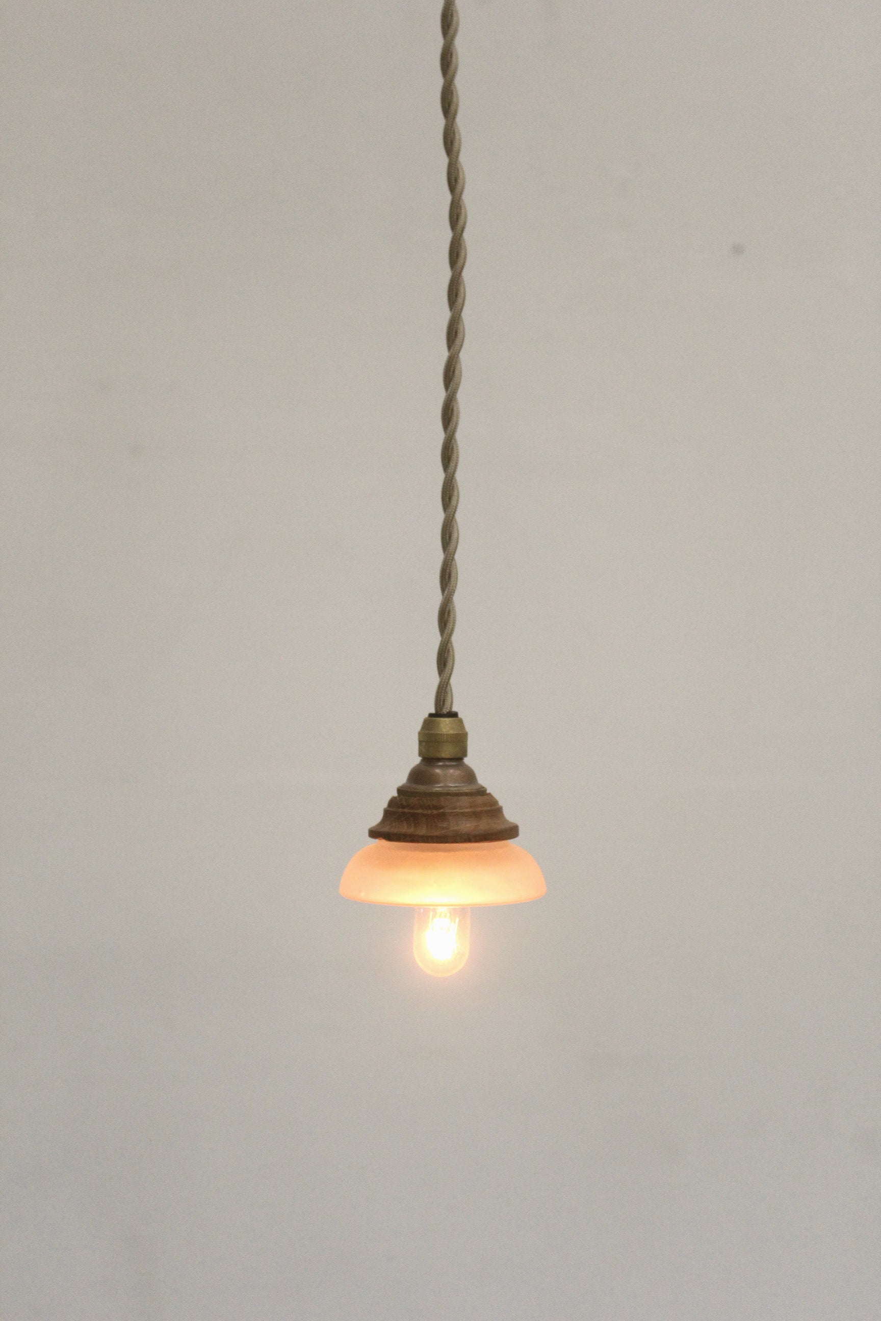 #1557 pendant lamp